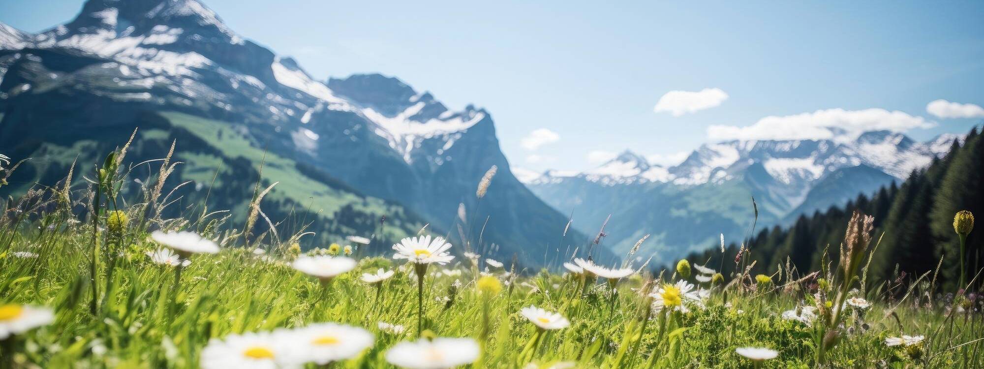 Sommerurlaub - Region Wipptal