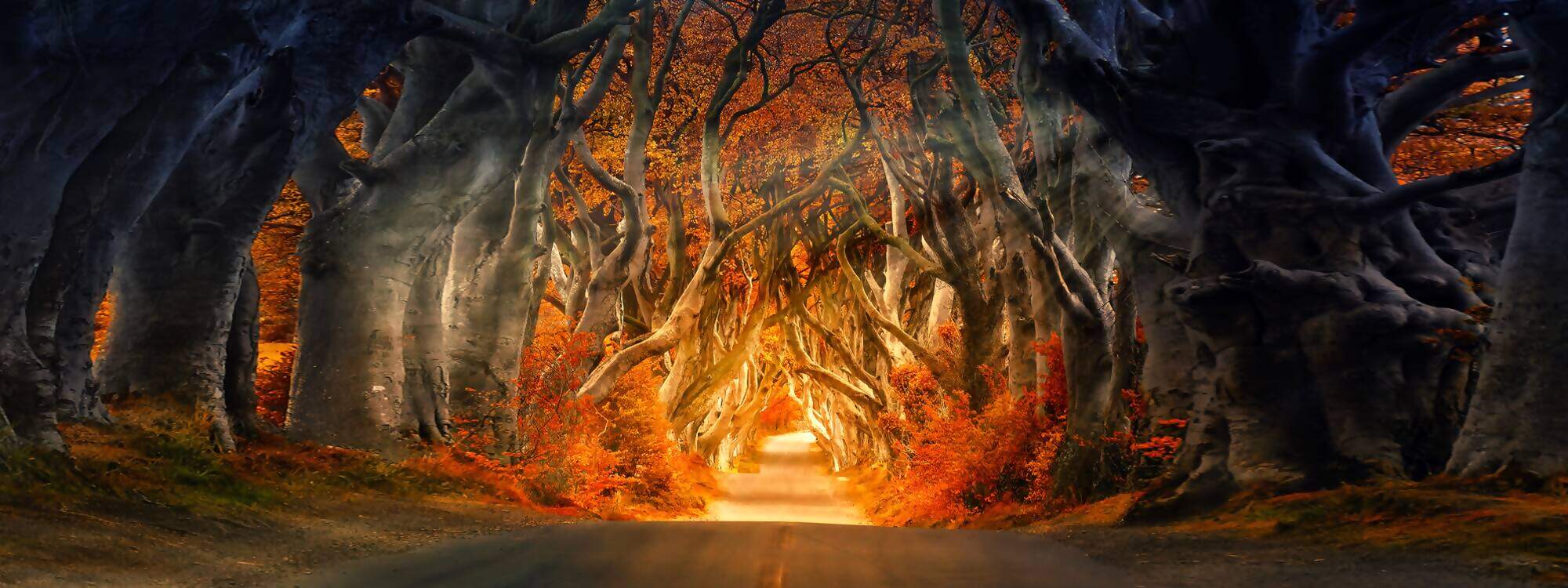 Magic Road Irland